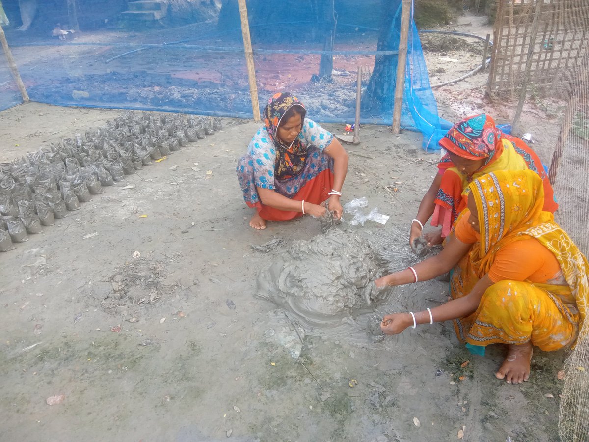 Tapas_Mollick's tweet photo. Women-Led Mangrove Nursery in Gabura.

Indigenous Munda women are preparing 5,000 mangrove saplings for the next 3-hectare phase of Mangroves4Life.

One seed at a time.

[Part: 2]

#Mangroves4Life #MundaWomen #MangroveRestoration #MangroveNursery #SESDO https://t.co/qrbE9G8sYv