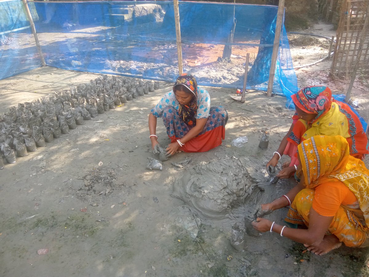 Tapas_Mollick's tweet photo. Women-Led Mangrove Nursery in Gabura.

Indigenous Munda women are preparing 5,000 mangrove saplings for the next 3-hectare phase of Mangroves4Life.

One seed at a time.

[Part: 2]

#Mangroves4Life #MundaWomen #MangroveRestoration #MangroveNursery #SESDO https://t.co/qrbE9G8sYv