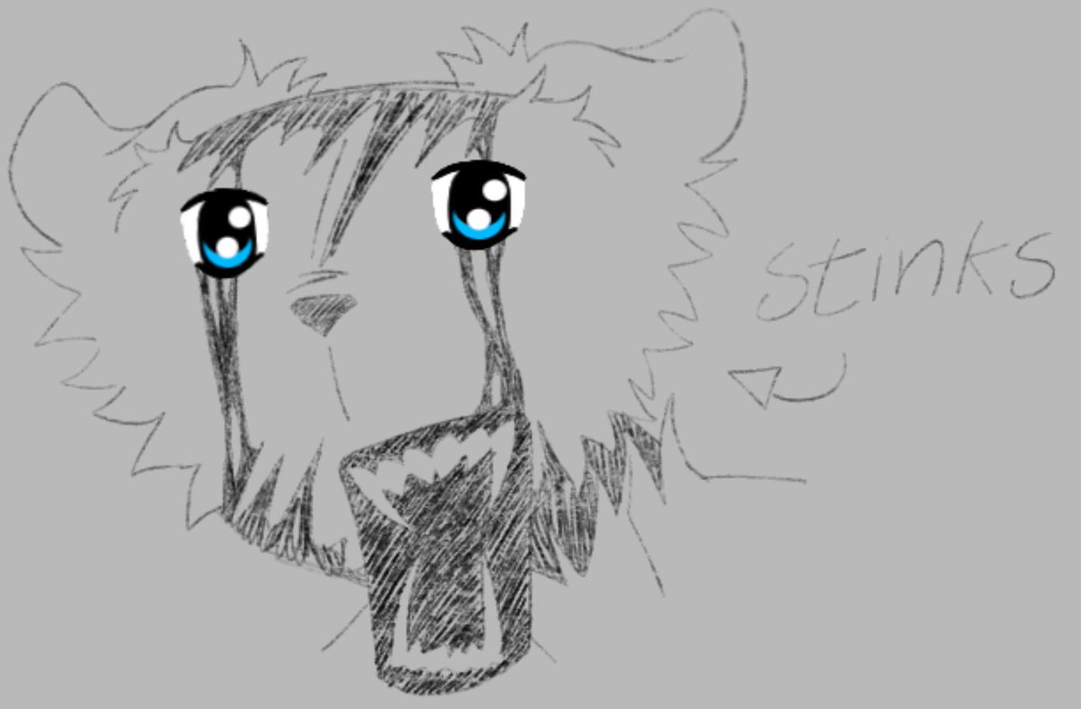braetheloser2's tweet photo. tears
#bearalpha https://t.co/R985rk0AVq