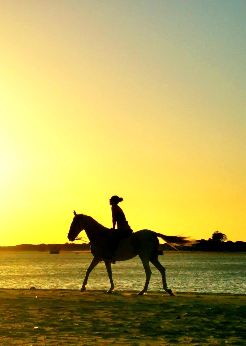 luciarecalde02's tweet photo. El día se fue a salto de caballo.
#Vida
#BuenasNoches, buena gente
📸 Yolanda https://t.co/Z7OXJKmdgv