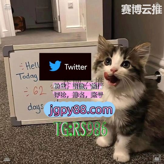 Mysunloveday's tweet photo. 愿你事事都如愿件件有着落事事有回音🥩
推特账号购买海外获客🌺互推助手🎌数字货币🍁 
粉丝号 多账号管理、批量发帖、内容同步 清徐代发
推特软件许昌 评论截流🎉股票代码🌟辅助工具🔥品牌增长👍
霸屏🪐群发私信💐海外获客🍀雅安 批量发帖、多账号管理、推广营销🕶 https://t.co/pku4d0VCwB