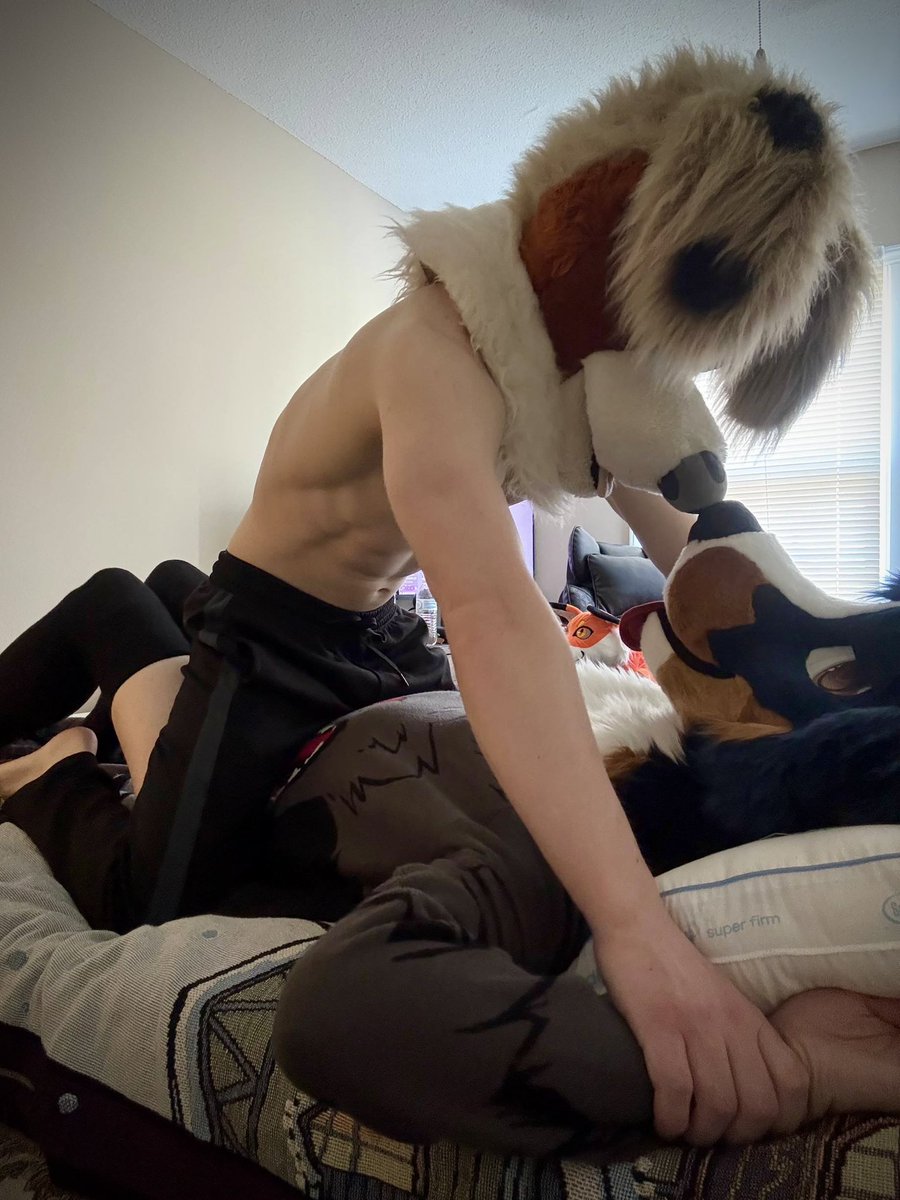 koda_shep_ad's tweet photo. I’ve got the puppy pinned https://t.co/esctpTVnVH
