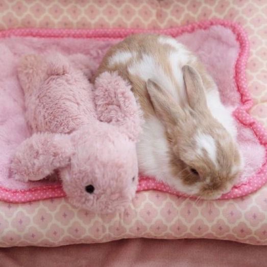 unicornperc's tweet photo. me if you even care (¬`‸´¬) https://t.co/JY3hdLW9EY