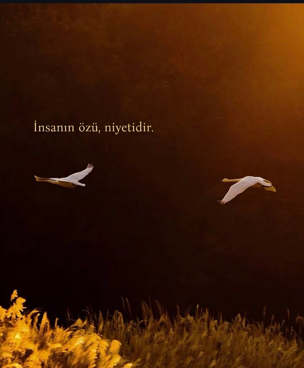 mehdibirdal's tweet photo. Ne demişti: Eskiler birini özlediğinde; canı sağolsun da yel essin kokusu gelsin dermiş: Yel essin … https://t.co/LwP5X8lTmz