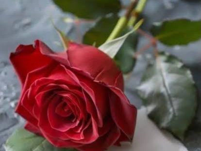 ilhanAsb's tweet photo. @souopaulou021 https://t.co/VYQ0vHXHHK