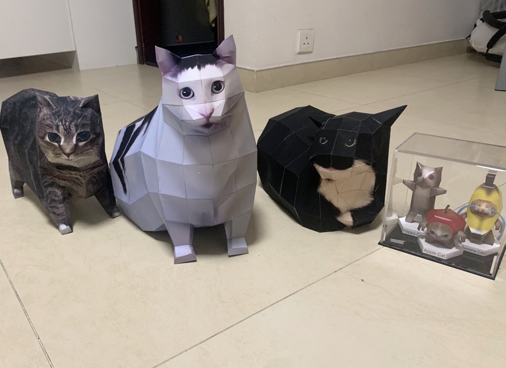 SPINCAT_Maxwell's tweet photo. https://t.co/iOoy1hSRHJ