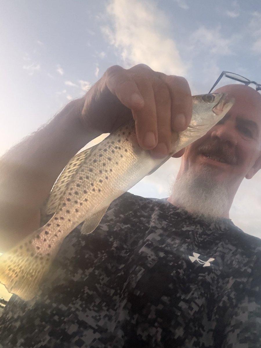 Justified1966's tweet photo. Took this last evening fishing off my pier on the inner coastal.  Only 1 catch. https://t.co/NqMPkJsGsi