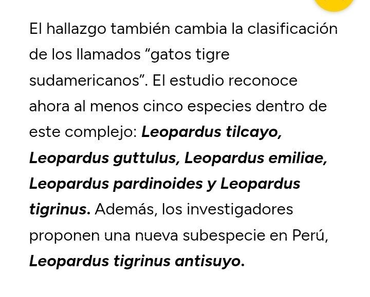 Aluna_55's tweet photo. @ElAcademico782 Hola @ElAcademico782, perdona responder aquí (el post que citaste no admite réplica):

Soy boliviana, en mi tweet hice referencia a la subespecie peruana 'Leopardus Tigrinus Antisuyo', no me referí a la nueva especie boliviana 'Leopardus Tilcayo'. https://t.co/0urhXLIGBL