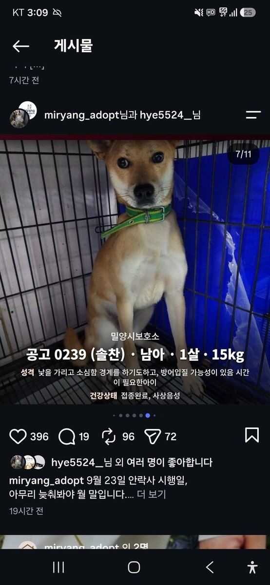 animalrtaccount's tweet photo. 입양문의: 010.2527.3490
9/23 밀양시안락사
아이들 정보 링크
https://t.co/qGb9UNwqWS https://t.co/SsEsrbt0Bs
