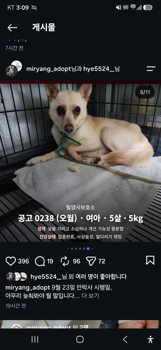 animalrtaccount's tweet photo. 입양문의: 010.2527.3490
9/23 밀양시안락사
아이들 정보 링크
https://t.co/qGb9UNwqWS https://t.co/SsEsrbt0Bs