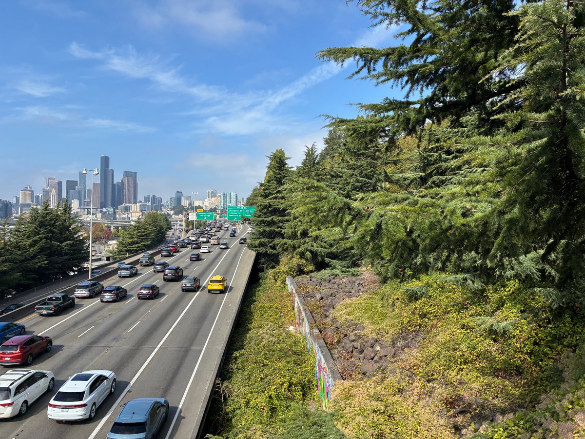 darren_stallcup's tweet photo. The community parks and small forest surrounding Seattle, Washington are nothing less than a lawless jungle of chaos.

Never would I thought Seattle would get worse than San Francisco and Los Angeles, but these green areas on the outskirts of the downtown area are absolutely horrible and the worst crimes against humanity is happening here. 

This us jungle warfare.

There are scouts and guards, watching and monitoring the entrances and intersections of the trails controlling who gets access into the deepest parts of the Seattle jungle where underage girls, guns and pounds of fentanyl are maintained.

Police refuse to enter the jungle. The recycle worker who are in charge of cleaning up, what can only be describe as entire hillsides of needles, women’s clothing, garbage, and the worst byproducts of humanity, the people in charge of cleaning it up, they are attacked by the violent drugged out lunatics who control the jungle.

There is also a fentanyl bazaar here where the collective stolen property of Seattle is bartered for pennies on the dollar.

Mind you this is all outside the old Amazon Headquarters building.

They are one pair of walkie talkies away from centralizing and becoming a modern day American favela in the emerald city.

I walked through the jungle, and the horrors I saw, the remnants of the nomadic camps, the ashes of small fires, it was hell on Earth.

The Tenderloin and Skid Row now have a challenger, The Jungle (of Seattle)

President Trump needs to send in the National Guard.

Socialism has failed.