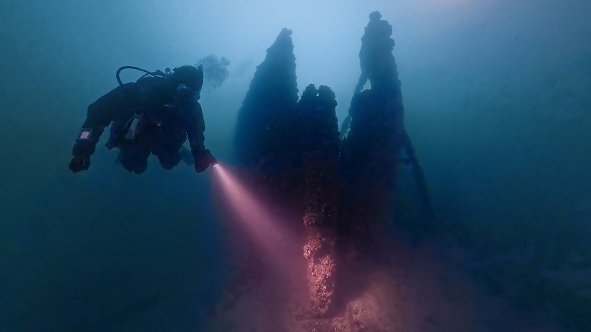 GreatLakesVista's tweet photo. #AcmePropeller #Carlingford #LakeErie #Greatlakes #Scuba #Shipwrecks Interactive 360 video.
Tickling a burbot😅
Last #shipwreck dive of the year?
Best on PC. Open in YouTube set max setting.
Added to my #Shipwrecks YouTube playlist.
https://t.co/zU9PKxh1qy https://t.co/TjYUaOI6C8