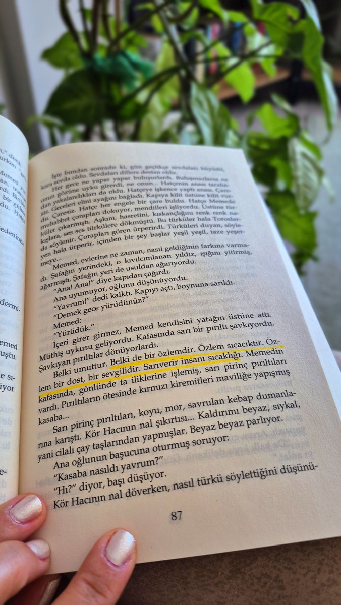 zlemc_e's tweet photo. @sivriikalemler Kalemlerde renk uyumu bile ararım 🤭 https://t.co/QdVdqSq0WT