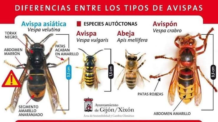 Manelsolada's tweet photo. @GausachsNuria Per sort teva no ho és, per desgràcia d'ella estava al lloc equivocat en el moment menys adient... https://t.co/LxOD0tLVdI