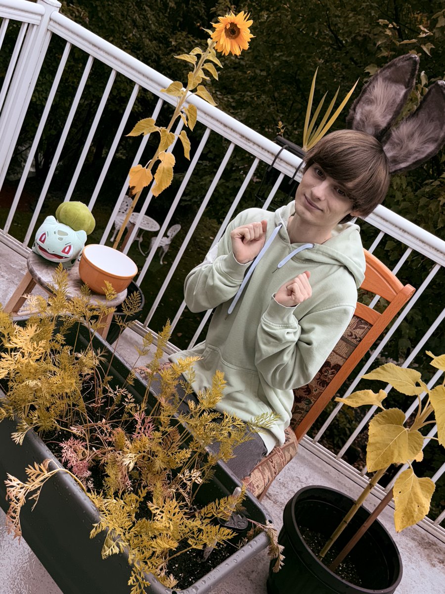 nya_charlie's tweet photo. It's time to harvest my carrots🥕💚 ~ https://t.co/9rMdiZJpJE