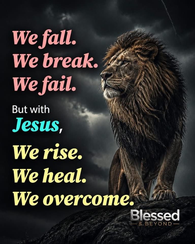 SilverLionFaith's tweet photo. We break. 
He does not. https://t.co/4UsEDBoMm7