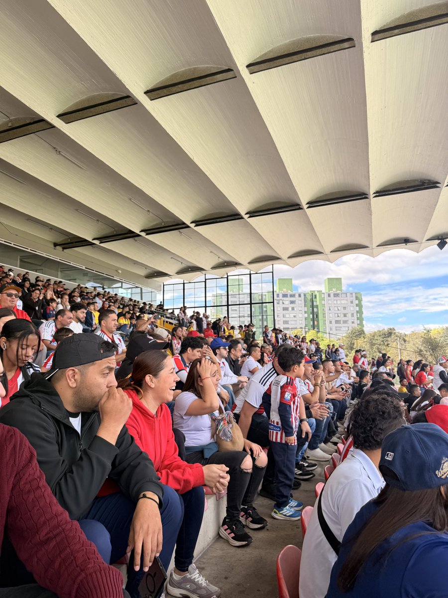 Yiobanismo's tweet photo. Ultimos en la tabla. 0 victorias en el campeonato. Así esta la cancha. https://t.co/aXzKhu60Vl