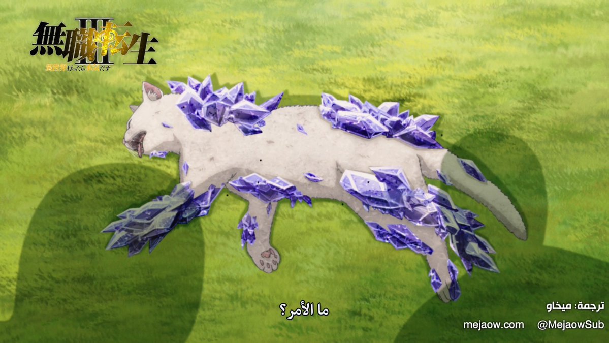 I8x_e3's tweet photo. #MushokuTensie
حلقة أبسلوت سينما 🙏

من لقطة البس ميزت أنها المذكرة والمسار البديل، كانت بتكون أفضل لو أني أغبى شوي 
ولو حلقة جميلة 10\10 https://t.co/woCZZuS9oh