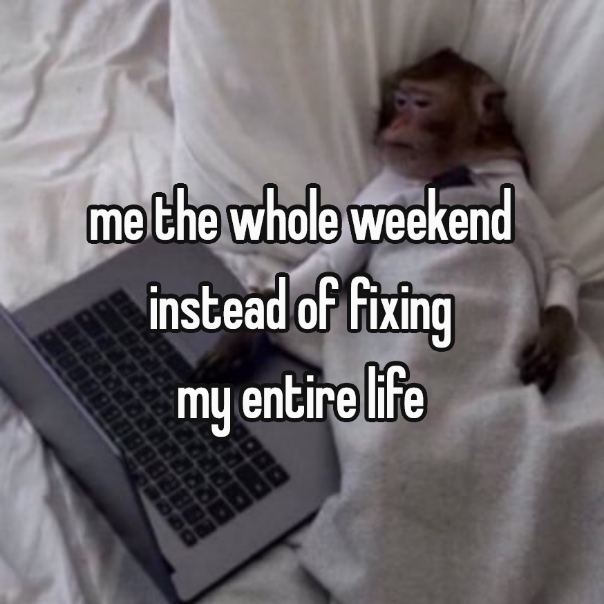 europemaxxed's tweet photo. i will just do it next weekend #promise https://t.co/YGJRJu9AjL