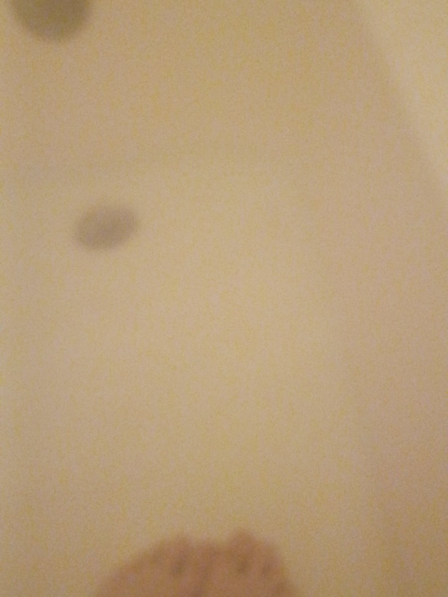 burgergooner2k's tweet photo. proof I shower https://t.co/8wYsbT6au5