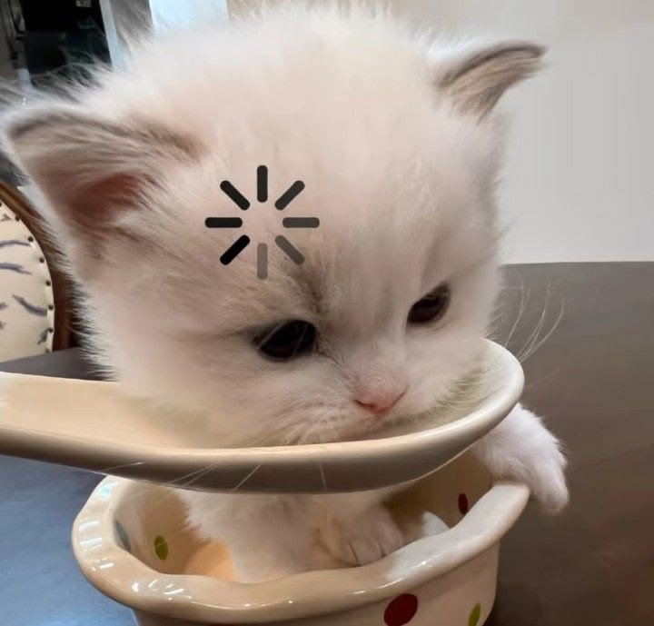 nekocatts's tweet photo. Loading https://t.co/33ec5G8CS2