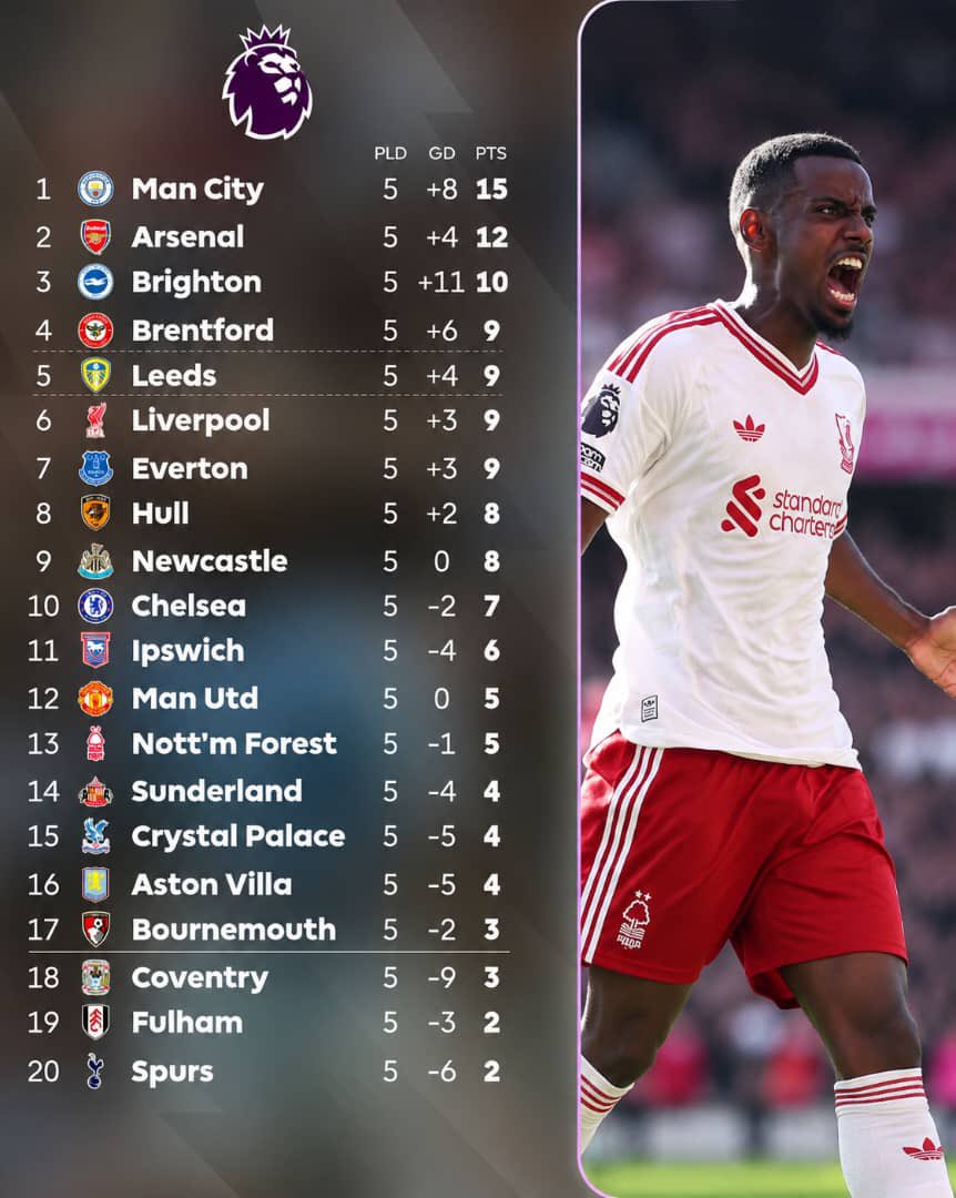 Hemmy_Rex's tweet photo. Premier League standings heading into the international break🌚 https://t.co/r5kSGNyWC8