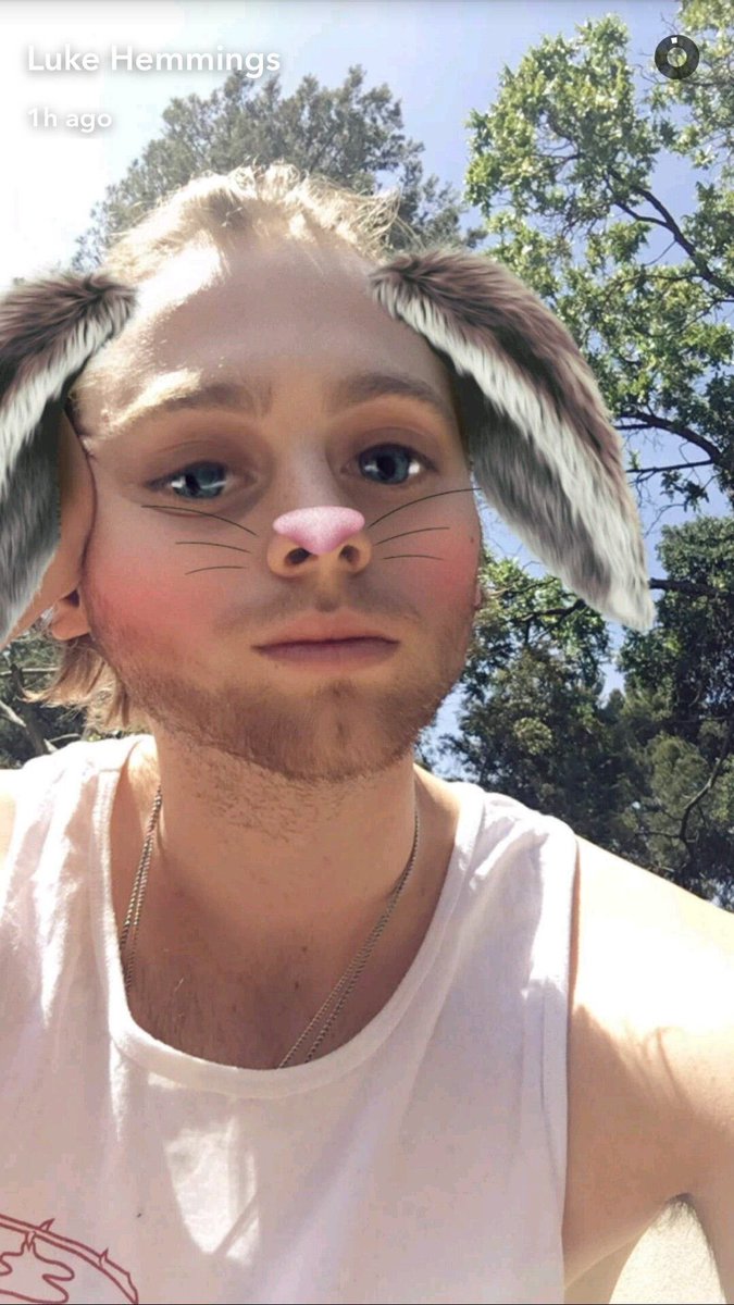 N0SENSEOFTIME's tweet photo. the pictures you guys genuinely use to defend 5sos face cards: https://t.co/qwLdt4n4XQ