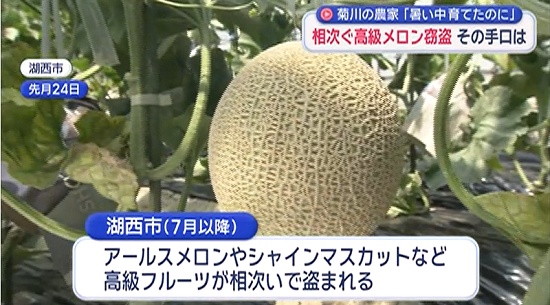 moeruasia01's tweet photo. 静岡で高級果物の窃盗が多発
張り込みで塗装工のベトナム国籍2人逮捕

メロン農家「がっかりする」

静岡県知事は全国知事会の多文化共生推進リーダー
国民向け宣言案「外国人が増えると犯罪増える、は根拠なし」

この2人がいなければ、このメロンは盗まれてないよね(´・ω・)