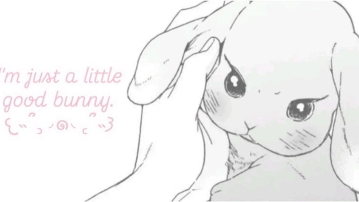 _urbny's tweet photo. 🐰 https://t.co/kH8JAAyiBL
