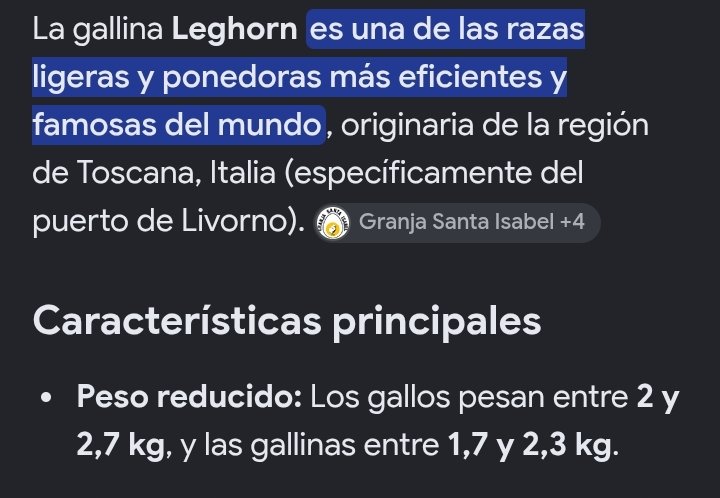 BigAsHellMuse's tweet photo. Y ya para acabar, chistosamente lo único que no tiene de Leghorn el desgraciado es que está bien marrano cuando los Leghorn son una raza LIGERA. https://t.co/vCi51QpHBy