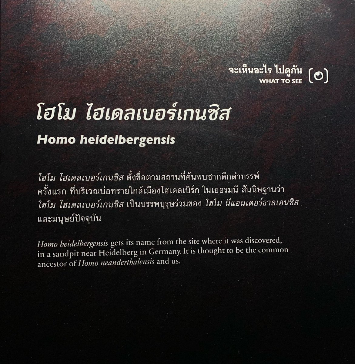 bbifne's tweet photo. https://t.co/PUwRFpZ0la
