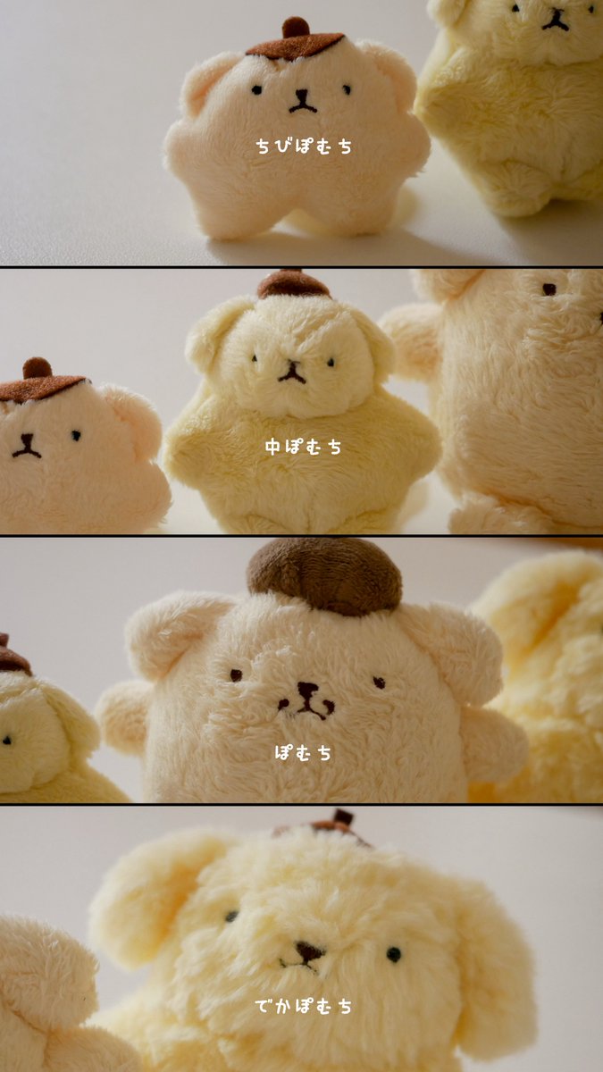 mgmgpomchi's tweet photo. 名前どうしようかな〜と思ってたけど、
みんな ぽむち にします ૮ ´ﻌ` ა https://t.co/WBuuy05pkh