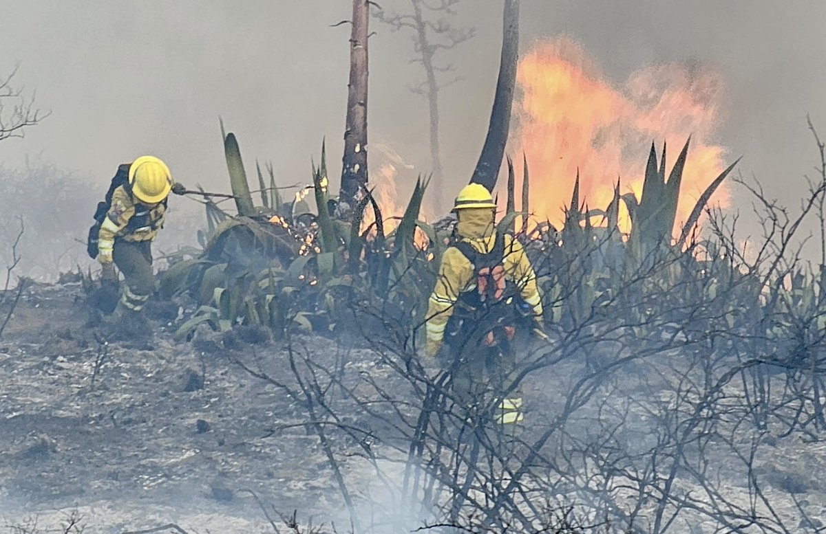 BomberosQuito's tweet photo. 🔥 #Actualización | Continuamos trabajando por cuarto día consecutivo en el cerro Casitagua.

🧑‍🚒 Hoy, nuestro equipo trabajó de manera ardua para contener el incendio forestal, cumpliendo el objetivo de evitar que el fuego descienda hacia la zona baja y disminuir su intensidad, pese a las condiciones topográficas del sector.

🚒 Al momento, existen algunos puntos calientes en la parte alta en la que seguimos trabajando.

🫡 Nuestras labores se desarrollan con más de 160 efectivos operativos, 14 personas en la gestión de crisis y 42 vehículos. Además del apoyo desplegado por la Corporación Municipal.

🚁 Durante la jornada, nuestro helicóptero y tres aeronaves de Fuerzas Armadas y Policía Nacional realizaron 146 descargas.

💪🏼 Queremos agradecer el trabajo de la comunidad que se unió y nos apoyó en todas las labores de hoy.

🔎 Nos mantenemos en constante monitoreo del sector para evitar la reactivación del incendio.

#BomberosQuito
#SalvamosVidas