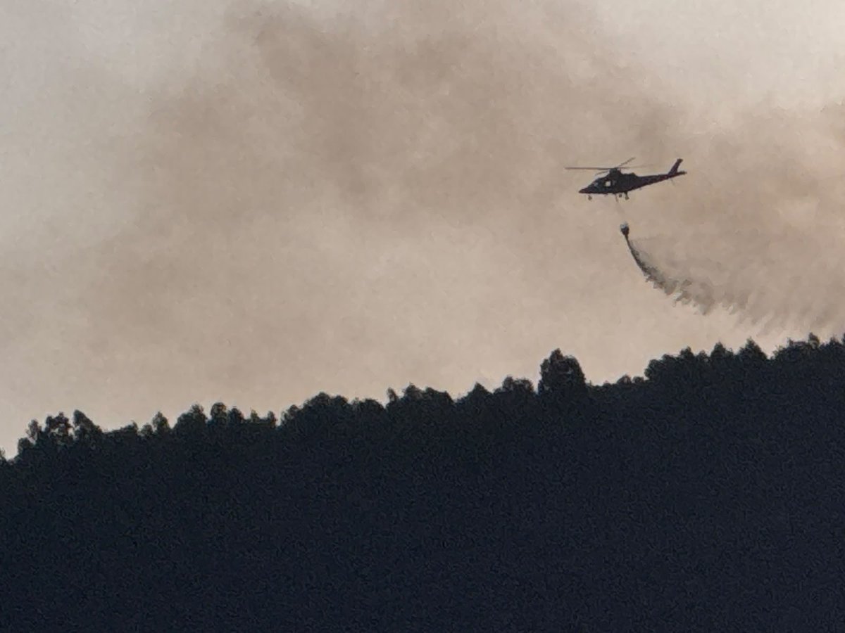 BomberosQuito's tweet photo. 🔥 #Actualización | Continuamos trabajando por cuarto día consecutivo en el cerro Casitagua.

🧑‍🚒 Hoy, nuestro equipo trabajó de manera ardua para contener el incendio forestal, cumpliendo el objetivo de evitar que el fuego descienda hacia la zona baja y disminuir su intensidad, pese a las condiciones topográficas del sector.

🚒 Al momento, existen algunos puntos calientes en la parte alta en la que seguimos trabajando.

🫡 Nuestras labores se desarrollan con más de 160 efectivos operativos, 14 personas en la gestión de crisis y 42 vehículos. Además del apoyo desplegado por la Corporación Municipal.

🚁 Durante la jornada, nuestro helicóptero y tres aeronaves de Fuerzas Armadas y Policía Nacional realizaron 146 descargas.

💪🏼 Queremos agradecer el trabajo de la comunidad que se unió y nos apoyó en todas las labores de hoy.

🔎 Nos mantenemos en constante monitoreo del sector para evitar la reactivación del incendio.

#BomberosQuito
#SalvamosVidas