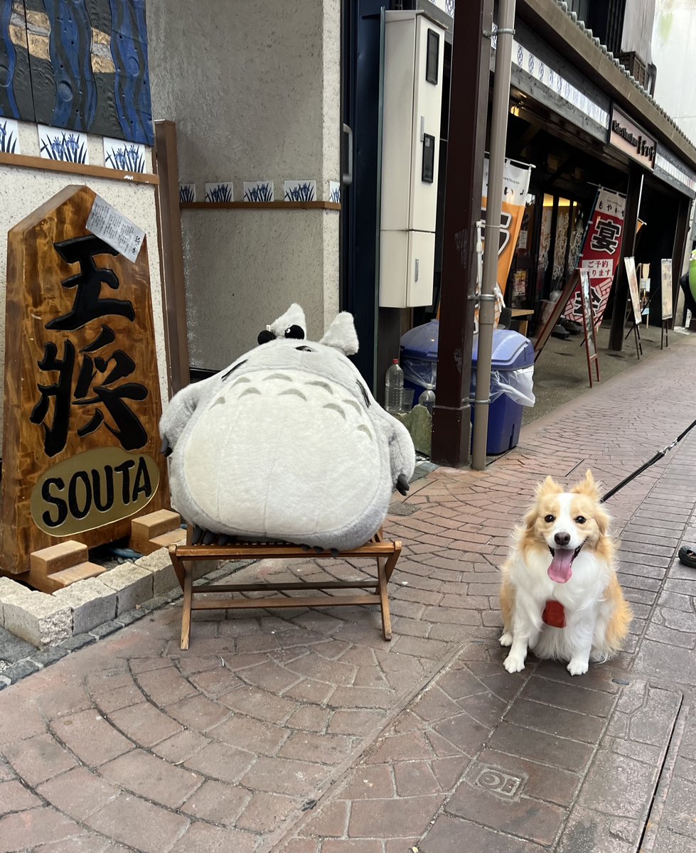 Hello_Wendy2348's tweet photo. 久々にドッグランに行ってみたら、同犬種のグループが遊具の上で長時間撮影会していたので
走って遊ぶのも気が散ってかわいそうだよという優しい夫と、ボールを投げる私(笑)
貸切じゃないランだし、うちもお金払ってるし🫩

暑かったから商店街散策へ🍦
楽しかったね🧡ニコニコウェンディ https://t.co/yKbsBMr0HJ