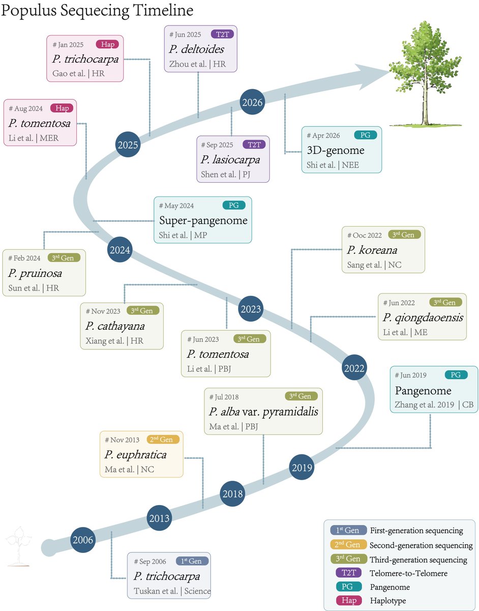 MaximumAcademic's tweet photo. #FRA
Twenty years of poplar genomics: from the first tree reference genome to pangenomes and molecular dissection of breeding traits.
@ForestryRes #Poplar #Genomics #TreeGenome #Breeding
Details: https://t.co/SvUYajZNXh https://t.co/OtqLtJGS1K