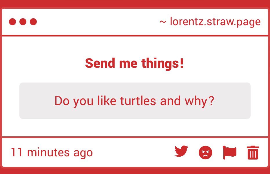 logicandthings's tweet photo. i do like turtles i find them very funny looking. i read a lot of franklin growing up so i think im biased https://t.co/28TxQhDKMp