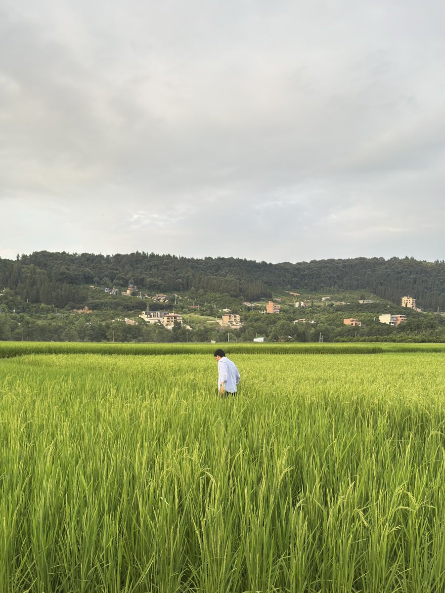 larsvalex's tweet photo. گرگان حال داد ۸/۱۰ https://t.co/ouWVeIMjJF