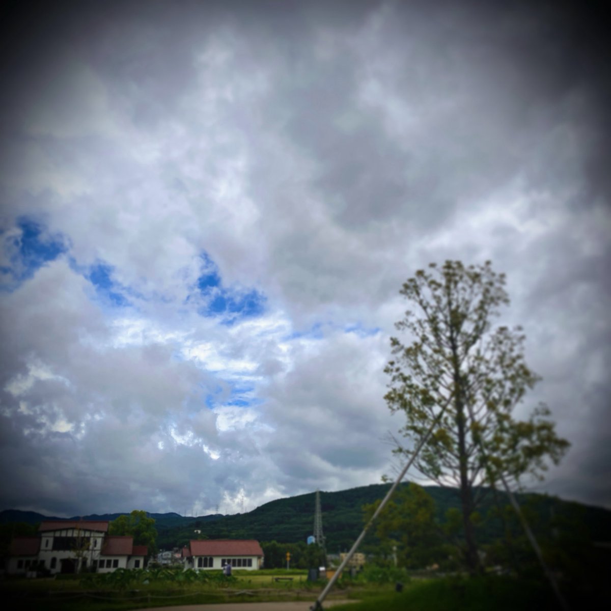 ty_masai's tweet photo. ◻︎…cloudy.
.
.
.
.
.
.
.
.
.
.
▪️祝日月曜の、仕事場への道。ショートカットで、現場へ向かいます。
.
.
.
.
.
.
.
.
.
#homestudio #homestudios #homestudiolife #homestudiorecording #mixing #mixingandmastering #arranger #arrangermusic #daw #theway #thetree #thehouse #esp #espguitar https://t.co/2GlMX3PFWw