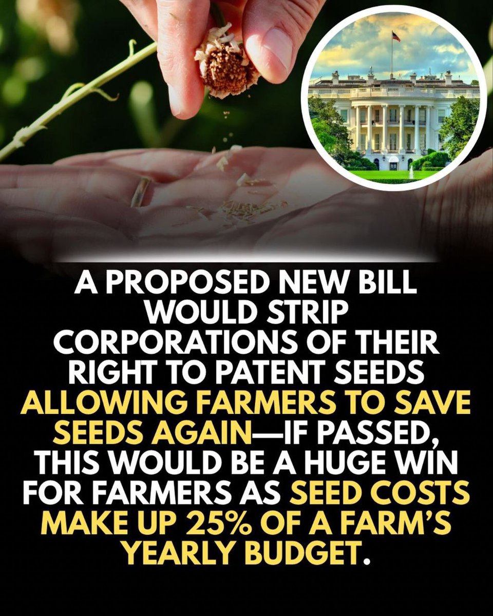Nancy023922191's tweet photo. No more corporations selling GMO seeds to farmers growing food for the public. 
Bring back heritage seeds to grow and sell. https://t.co/XzJO9F35NU