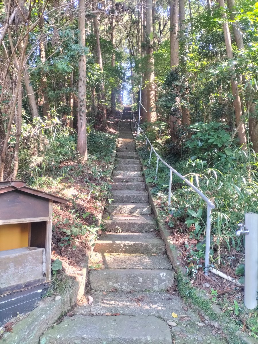 tianlangxing's tweet photo. 雨宮バス停の多軌さんからの雨宮神社。行きのバスから見えてたけど手前の田んぼの彼岸花がめっちゃきれい。上まで登ったのは結構久々かもしれない… #夏目友人帳 #natsume https://t.co/8BD6e3ASFh