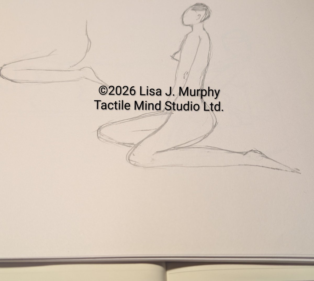 tactilemindbook's tweet photo. Recently I've gone to a few life drawing sessions. I had never done it before. This pencil sketch is progress.
#torontoartist
#lifedrawings https://t.co/hd6Iwa5ywb