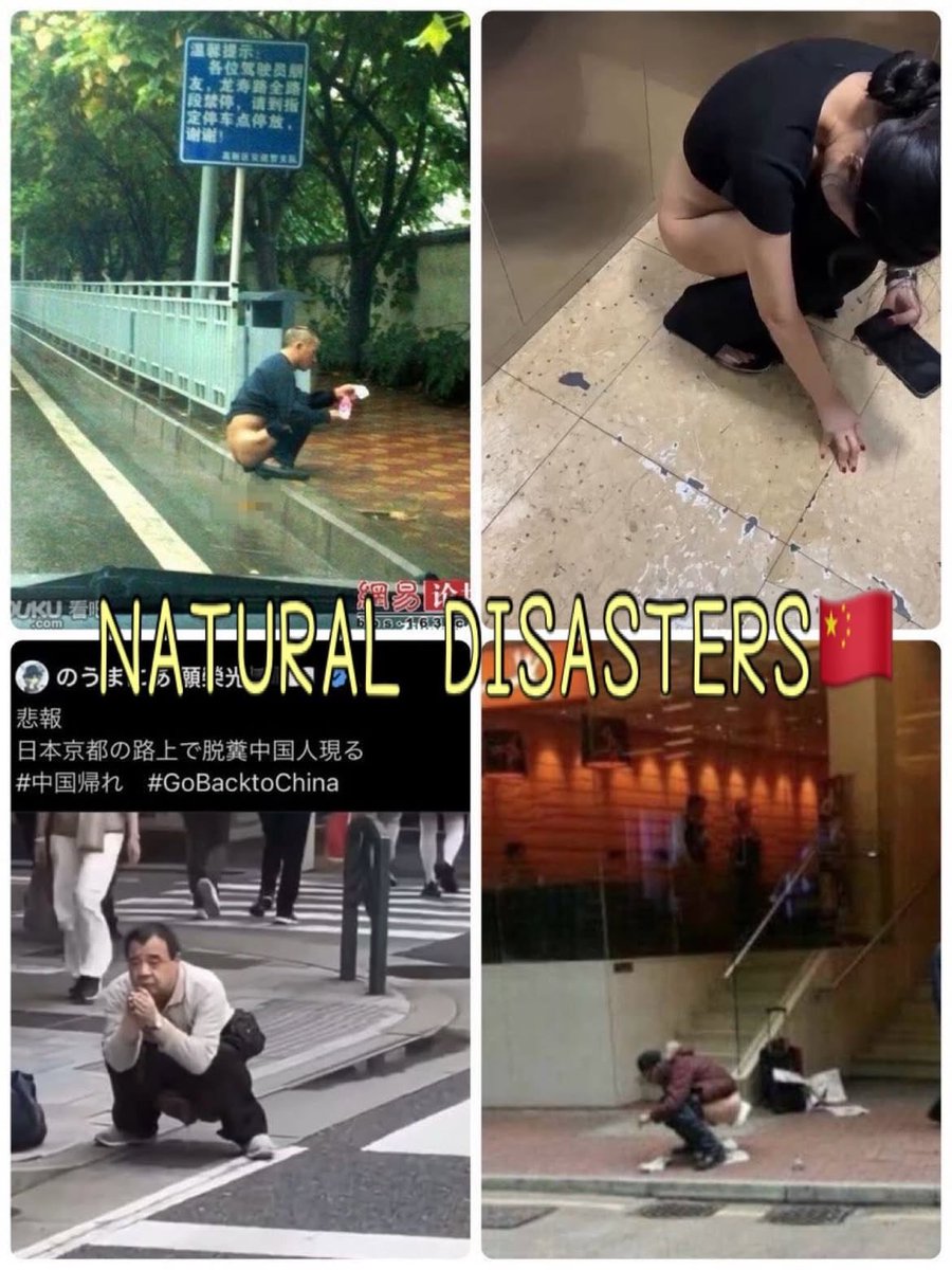 BucketHead_KOR's tweet photo. @dong09992049195 @guillen_xavie 中国ってトイレすら無いの？ https://t.co/MIjss2iJbW