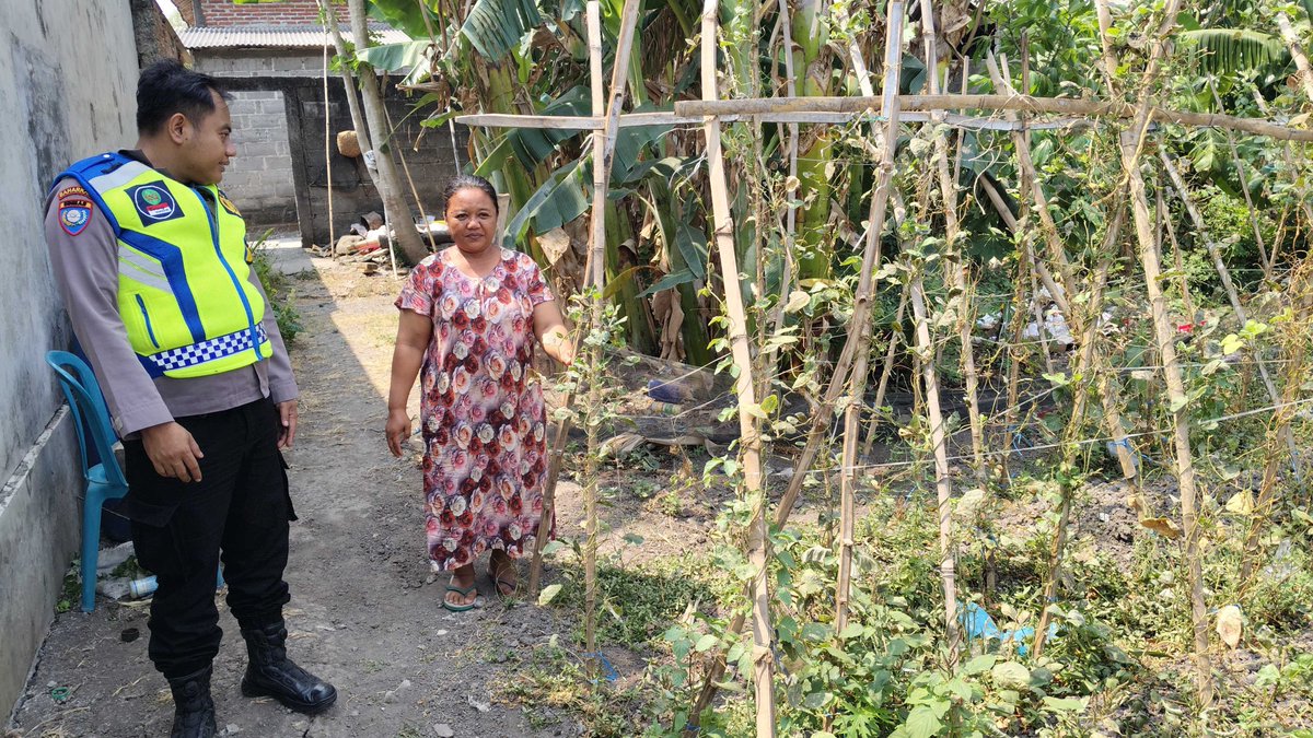 pol_wrjayeng's tweet photo. Bhabinkamtibmas Polsek Warujayeng memantau pemanfaatan lahan Pekarangan Pangan Bergizi (P2B) milik warga binaannya guna mendukung program ketahanan pangan nasional.

#ketahananpangan
#swasembadapangan
#polrikawalketahananpangan
#polrikawalswasembadapangan
#astacita https://t.co/aAGlT7Qo0J