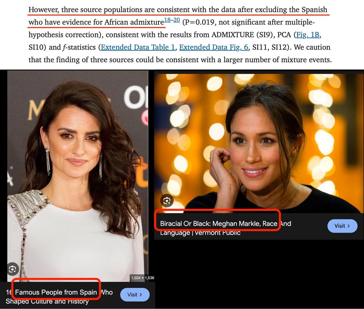 sarconzi23's tweet photo. @poppathegr8 "As a dark hair/eyed mixed NlGGER, I *clearly* identify as a blonde/blue-eyed Norwegian!"

Shut it. You're a white-wannabe brown/jew https://t.co/FWfNgjp5MV