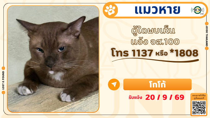 js100radio's tweet photo. แมวหายจากซอยรัชดาท่าพระ 6 เขตธนบุรี ผู้ใดพบเห็นแจ้ง JS100 โทร *1808 หรือ 1137

รายละเอียดเพิ่มเติม : https://t.co/2qVKJPSrUA

#แมวหาย #ตามหาแมว #JS100 https://t.co/7Ku37pzvJ0