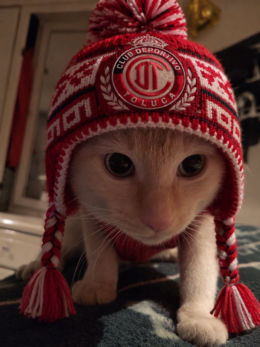 JuanFernando_06's tweet photo. @TolucaFC @Corona_MX CARAJO https://t.co/Jca709N6EV