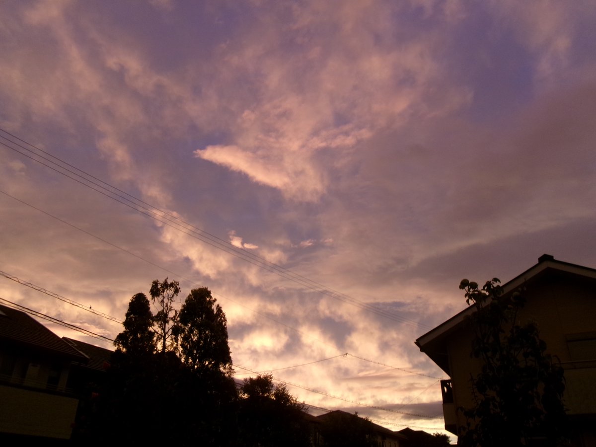 nankacurl's tweet photo. 二泊で大阪に行き昨日帰ってきました。ひと段落の夕方の空。
こちらは台風の影響はあまりなく、朝の庭ではツマグロヒョウモンやシジミチョウがおなかを空かせた様子で飛び交っています。ヤマガラもいつもの通りやってきてエゴの実でお食事。残りの実があとわずかになって、ニンゲンも寂しいキモチ。 https://t.co/zYziBobH1m