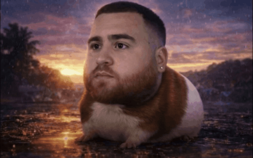 StableRonaldo's tweet photo. https://t.co/l8CX03x6Gq