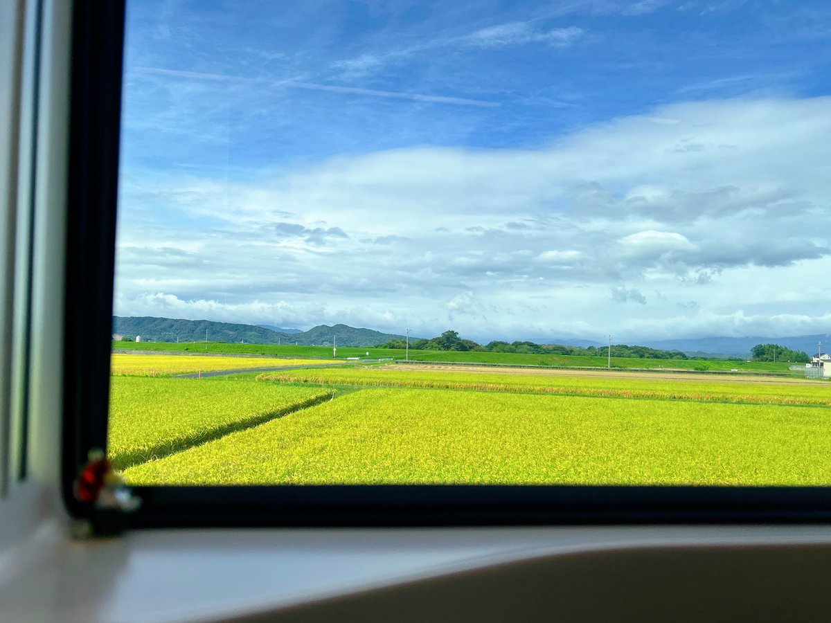 sp_paty's tweet photo. 結局寝てない

だんだん天気が悪くなっていくし、お隣は空いたままだね、コジャケ、ムーミン、蟹持ち雀ちゃん https://t.co/gcvUNwpfgs